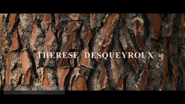 Thérèse-Desqueyroux-UK-BD_02