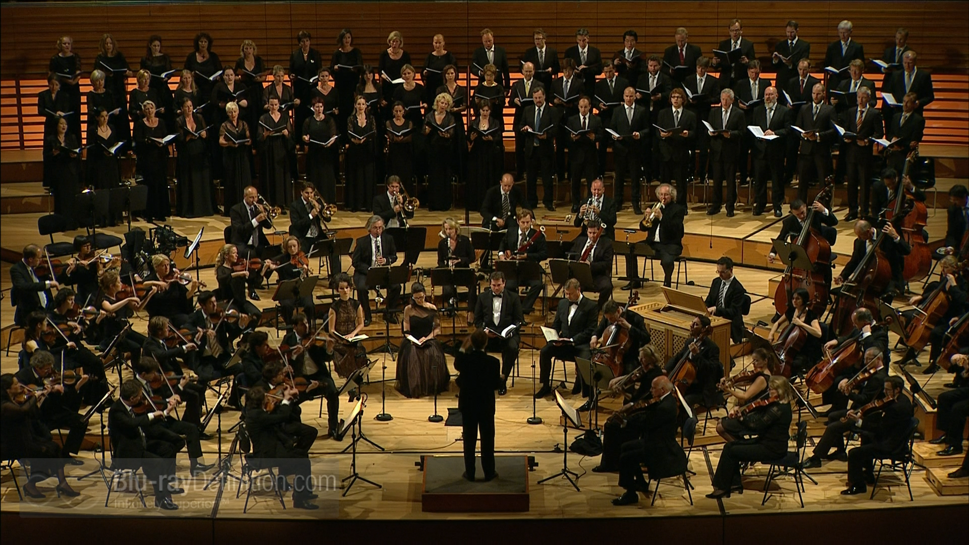 Mozart - requiem. Венский моцарт оркестр. Моцарт концерт 21. Моцарт дирижирует. Исполнение концертов моцарта.