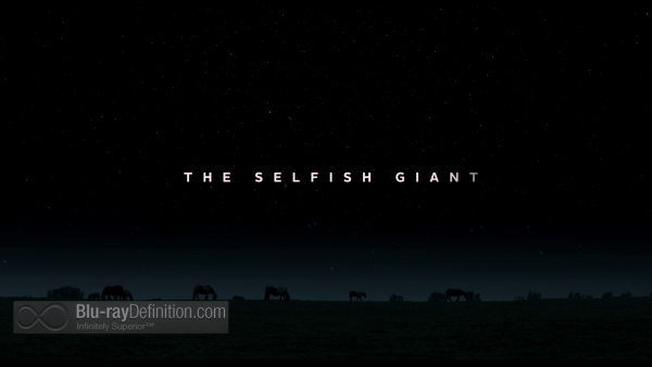 The-Selfish-Giant-UK-BD_01