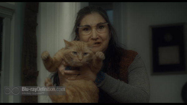 Inside-Llewyn-Davis-BD_13