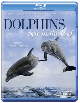 dolphins-spy-in-the-pod-UK-bluray-cover