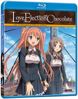love-election-chocolate-bluray-cover