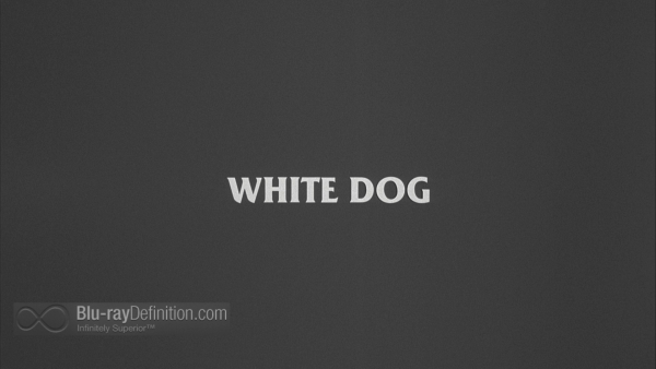 White-Dog-MOC-UK-BD_01