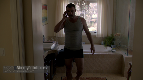 Ray-Donovan-S1-BD_03