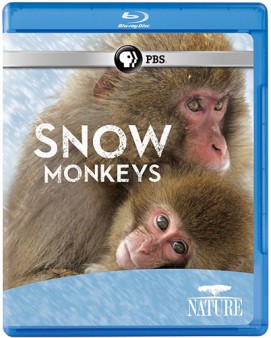 nature-snow-monkeys-bluray-cover