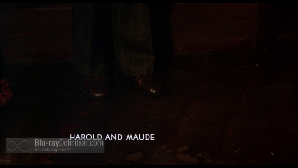 Harold-Maude-MOC-UK-BD_01