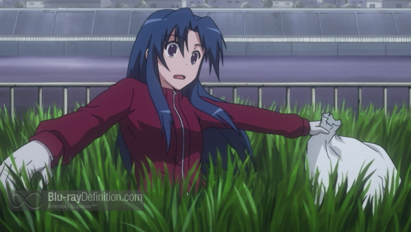 Toradora-complete-series-BD_28