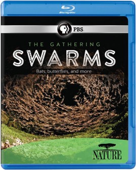 nature-gathering-swarms-bluray-cover