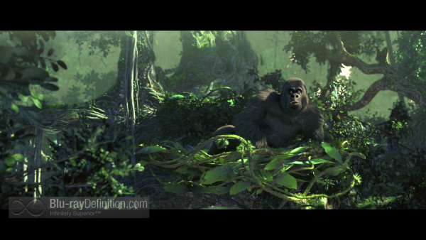 Tarzan-2013-BD_06