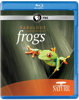 nature-fabulous-frogs-bluray