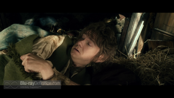 The-Hobbit-Desolation-of-Smaug-Extended-BD_03