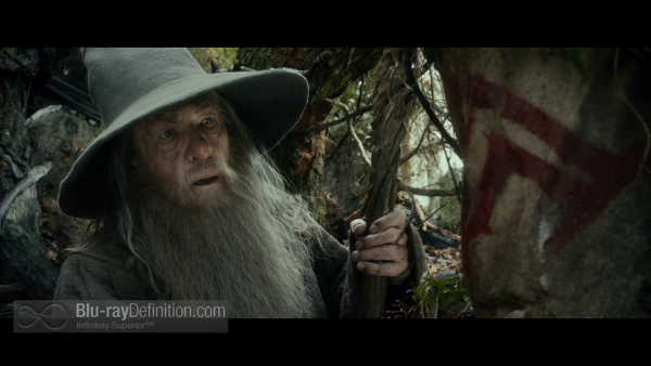 The-Hobbit-Desolation-of-Smaug-Extended-BD_06