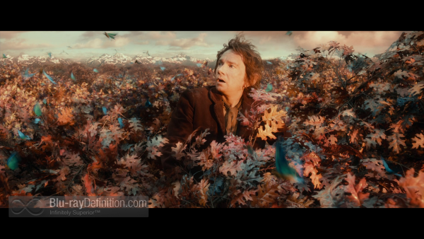 The-Hobbit-Desolation-of-Smaug-Extended-BD_08