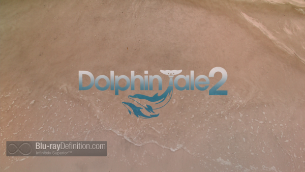 Dolphin-Tale-2-BD_01