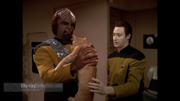 STTNG-S7-BD_25