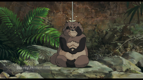 Pom-Poko-BD_03