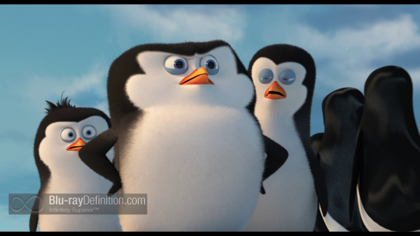 Penguins-of-Madagascar-BD_02