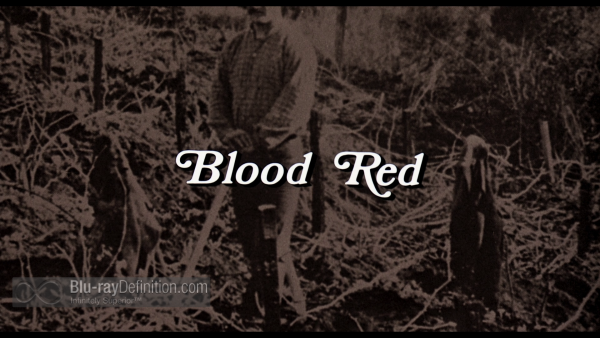 Blood-Red-BD_02