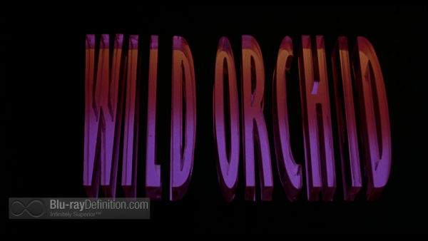Wild-Orchid-BD_02