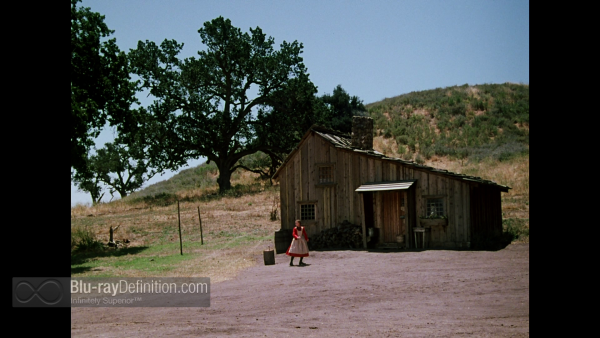 Little-House-on-the-Prairie-DRE-S6-BD_08