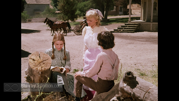 Little-House-on-the-Prairie-DRE-S6-BD_13