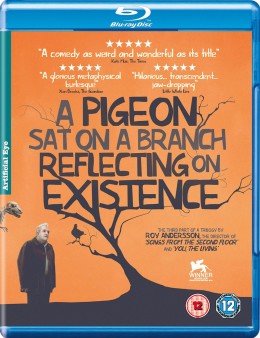 pidgeon-sat-on-a-branch-uk-bluray-cover