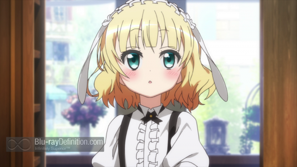 is the order a rabbit watch order download is the order a rabbit watch order download