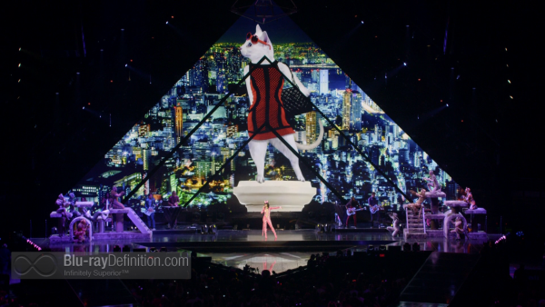 Katy-Perry-Prismatic-World-Tour-Live-BD_14