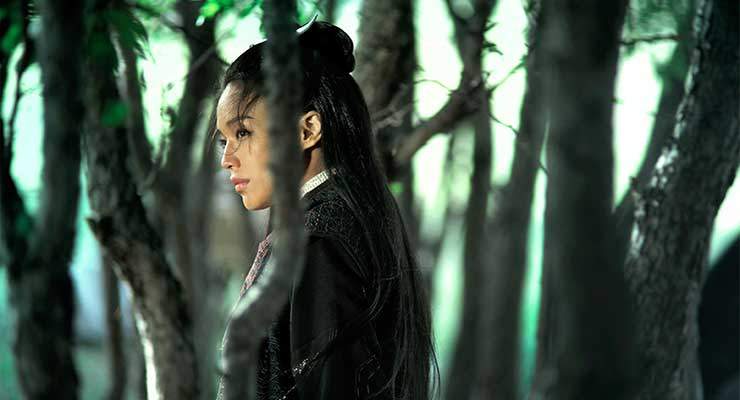 The Assassin [UK] (TheaterByte Blu-ray Review)