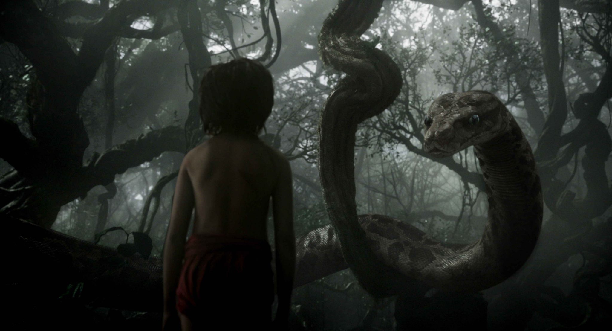 Publicity still of Neel Sethi in The Jungle Book (2016).