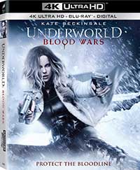 Underworld: Blood Wars 4K Ultra HD + Blu-ray + Digital Packshot