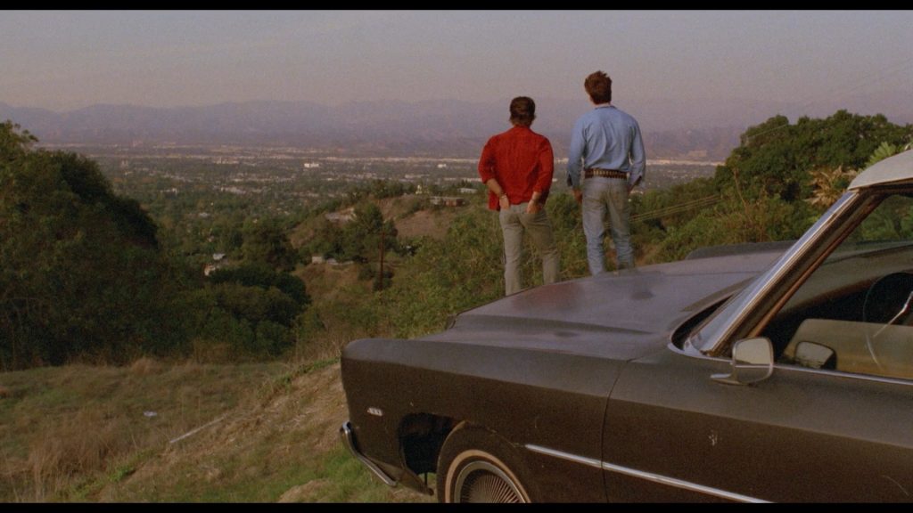 Valley Girl Valley Girl (1983)