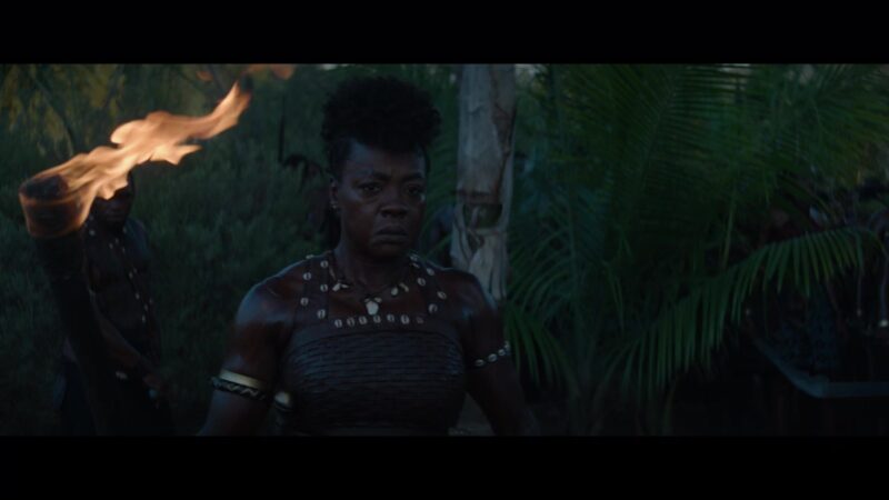 Viola Davis in The Woman King (2022)