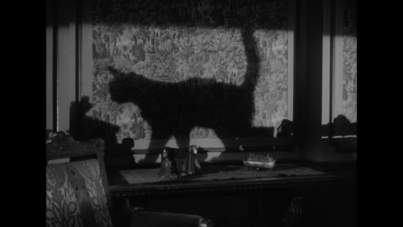 The Catman of Paris (1946)