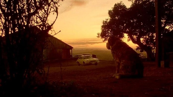 Cujo (1983)