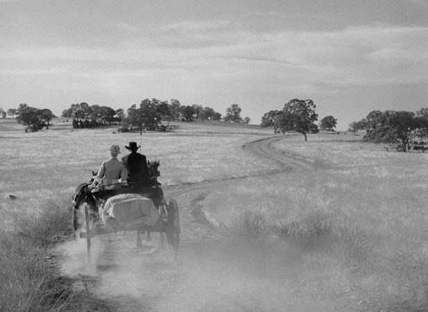 Gary Cooper and Grace Kelly in High Noon (1952)