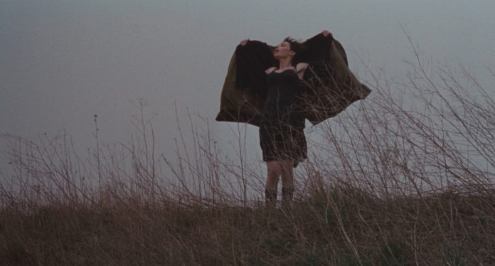 Béatrice Dalle in Trouble Every Day (2001)