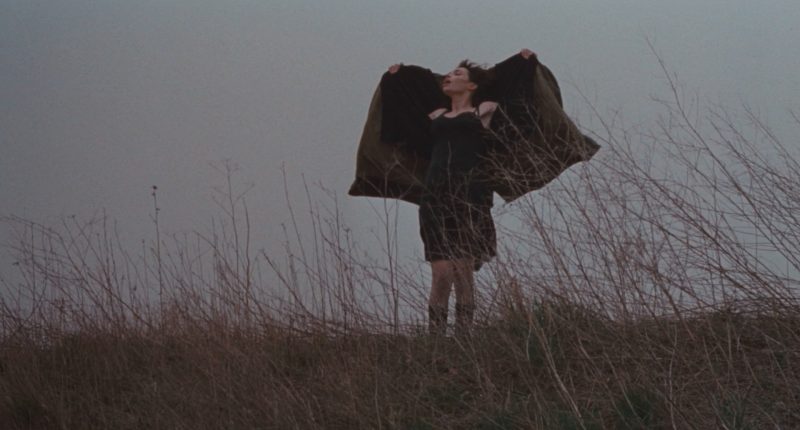 Béatrice Dalle in Trouble Every Day (2001)